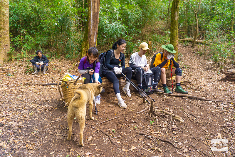 Lùng Cúng
lung cung
leo nui
leo núi
trekking