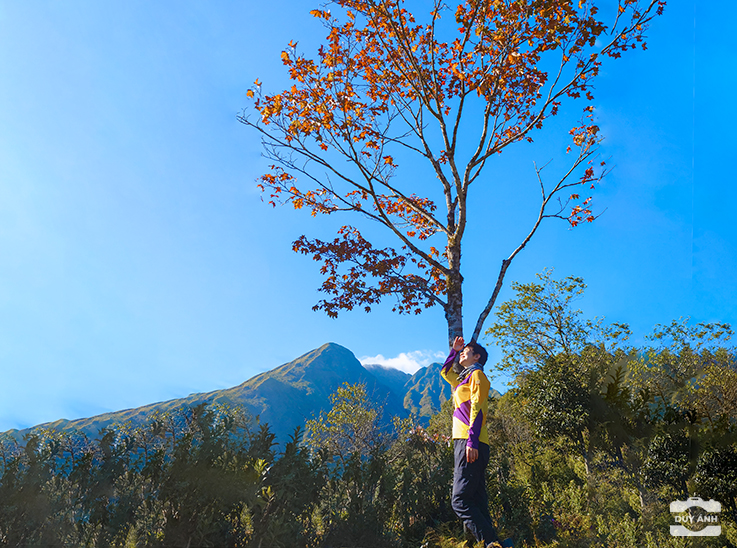 fansipan
leo nui
leo núi
trekking