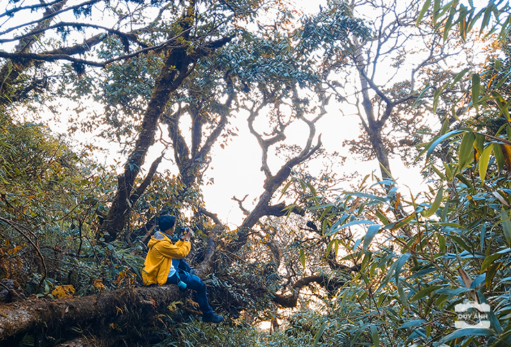 fansipan
leo nui
leo núi
trekking