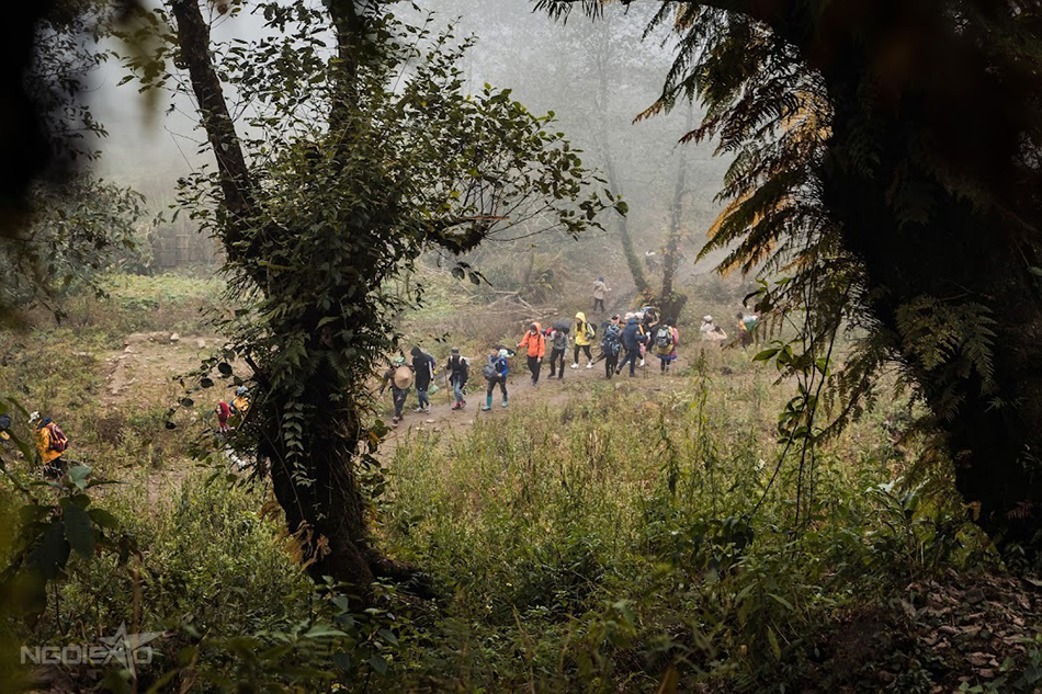 tả liên sơn
ta lien son
leo nui
leo núi
trekking