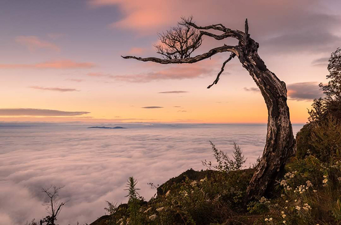lao than
leo nui
trekking