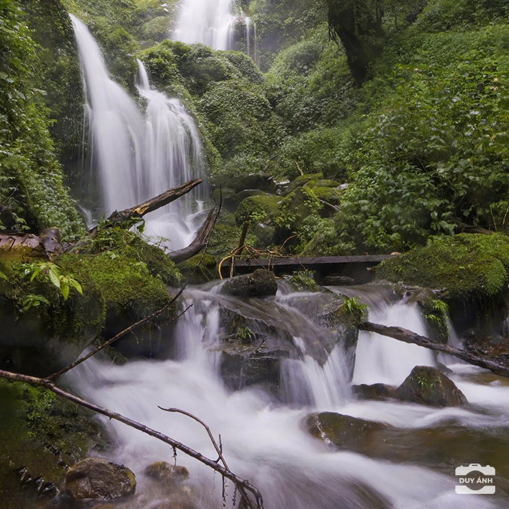 Lùng Cúng
lung cung
leo nui
leo núi
trekking