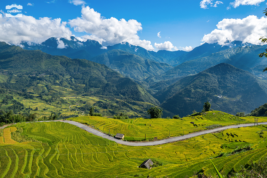 Sapa Y Tý
sapa y ty
tour Sapa Y Tý
du lịch Sapa Y Tý
