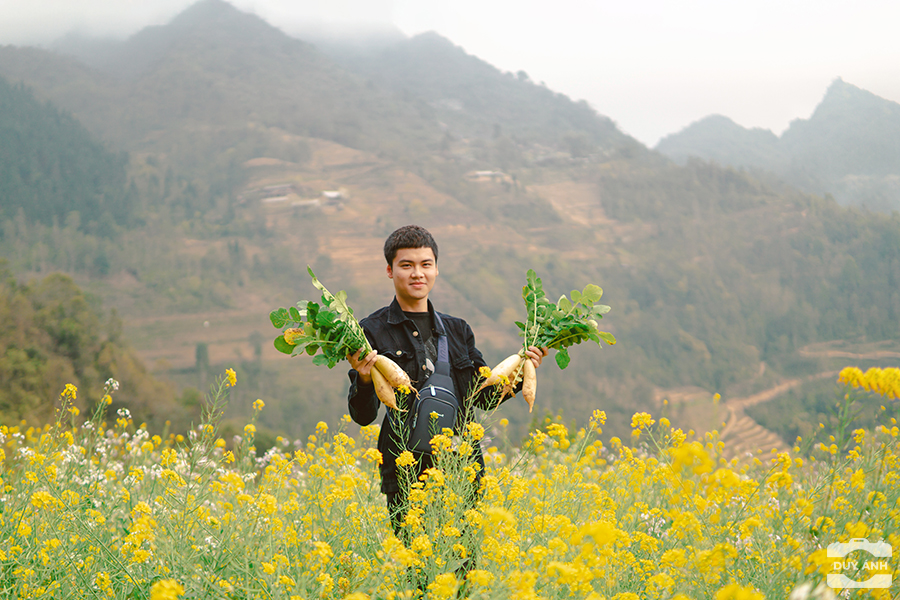 Hà Giang
ha giang
tour hà giang
du lịch hà giang