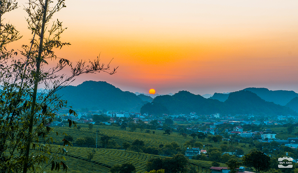 Mộc Châu
moc chau
tour mộc châu
du lịch mộc châu