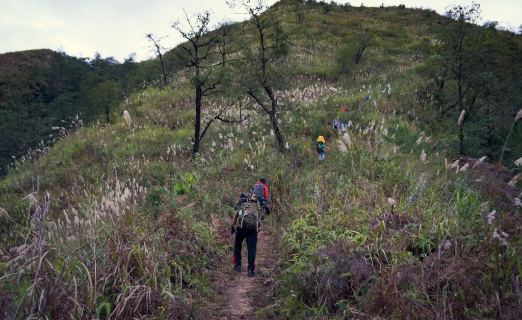 pusilung 5