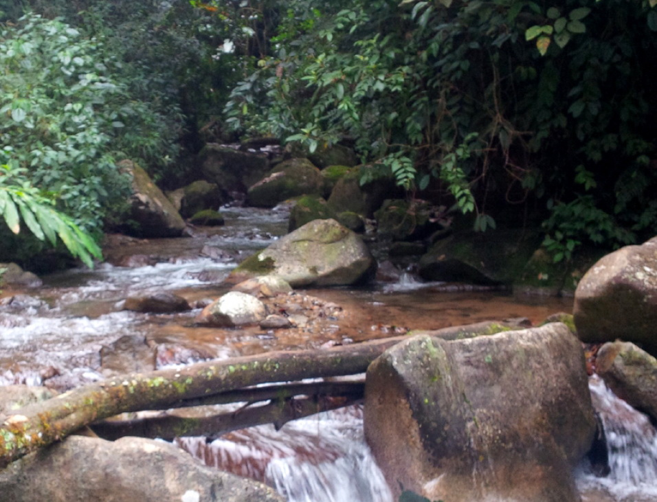 pusilung 7