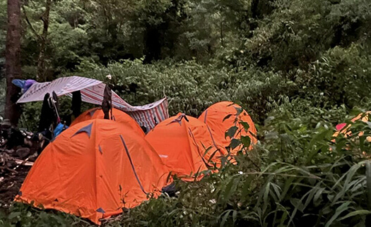 pusilung 8